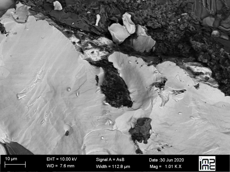 Publications 2019-2020